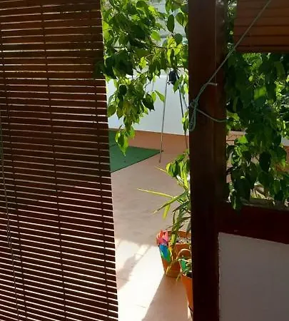 Super Terrassa * Amposta